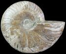 Silver Iridescent Ammonite - Madagascar #61505-1